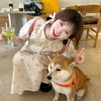 辛德瑞拉先生2